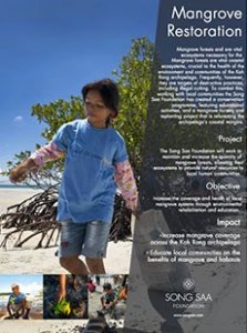 Mangrove Restoration